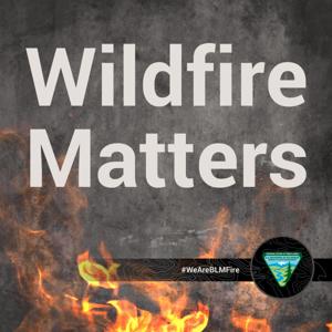 Wildfire Matters by SB Studios