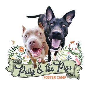 Patty & the Pig's Foster Camp