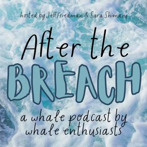 After the Breach Podcast by Jeff Friedman and Sara Shimazu