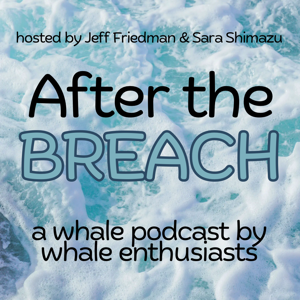 After the Breach Podcast