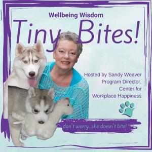 Wellbeing Wisdom Tiny Bites