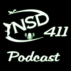 NSD 411 Podcast