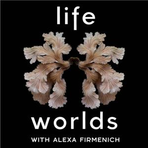 Lifeworlds