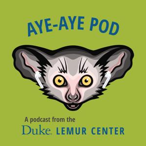 Aye-aye Pod