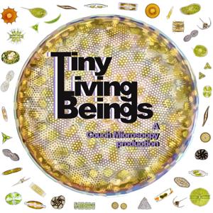 Tiny Living Beings