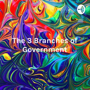 The 3 Branches of Government