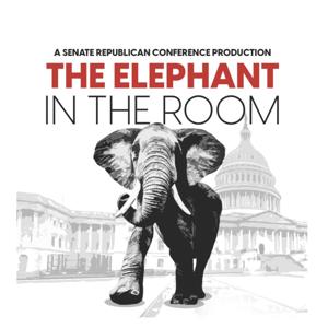 The Elephant in the Room