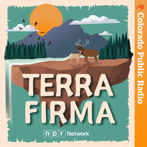 Terra Firma