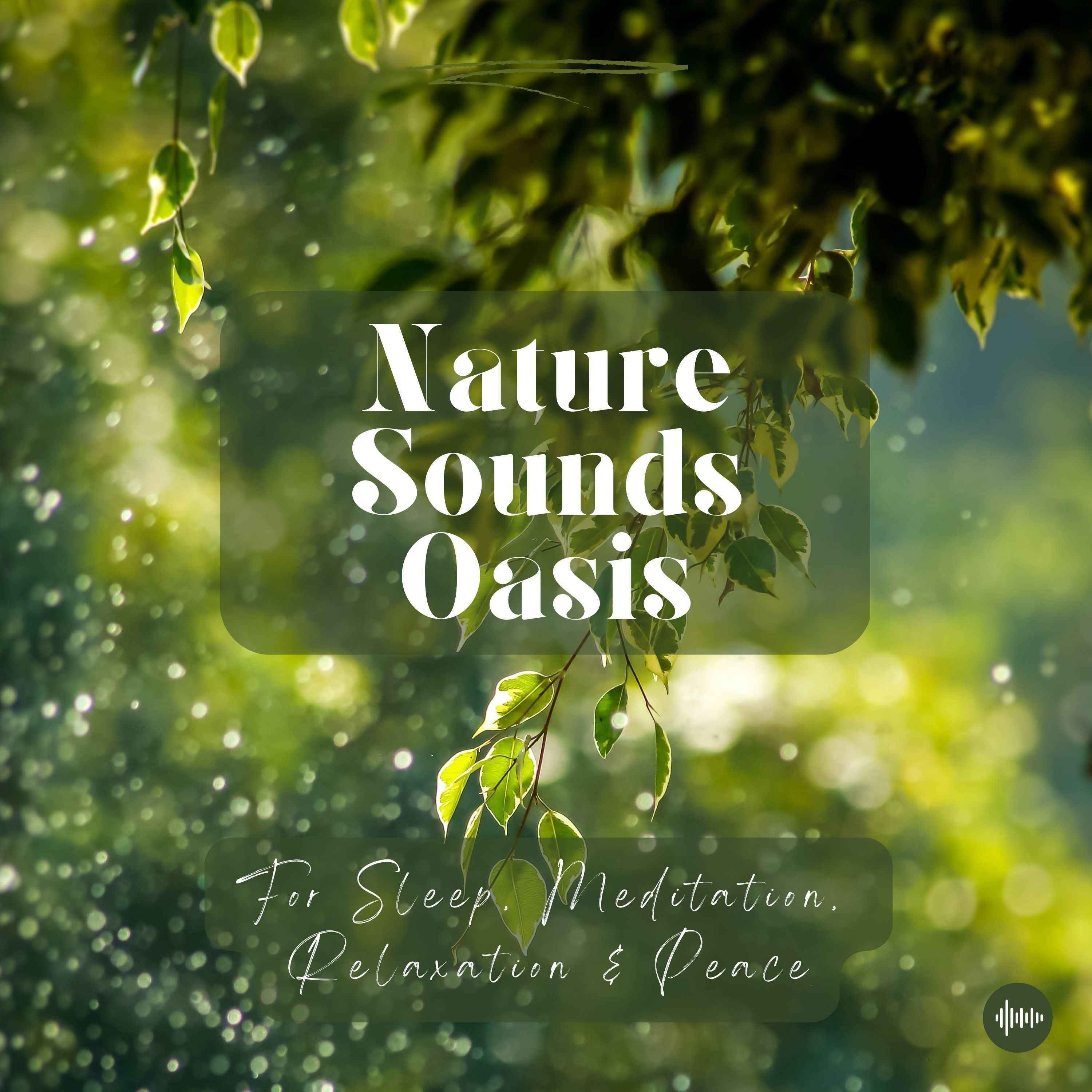 Meadow Serenade With Relaxing Music, Rustling Leaves & Nature Sounds For Sleep, Meditation, Relaxation Or Focus | Piano, Sleep Music, Sleep Sounds, Study Music, Birds, Zen, White Noise For Sleep