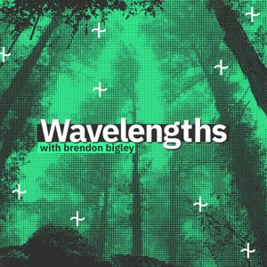 Wavelengths with Brendon Bigley