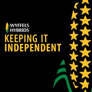 Keeping It Independent by Wyffels Hybrids