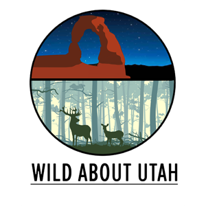 Wild About Utah