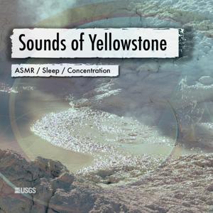 Sounds of Yellowstone