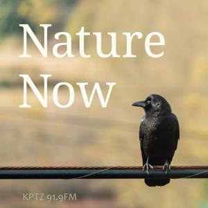 Nature Now