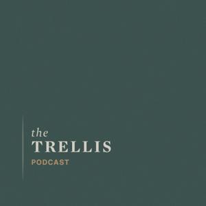 The Trellis Podcast by Fellowship Church