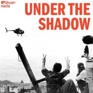 Under the Shadow