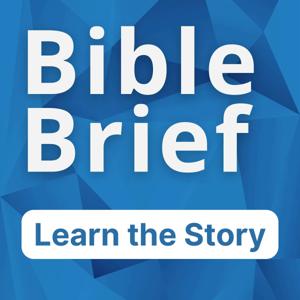 Bible Brief  |  Discover the Story by Bible Literacy Foundation