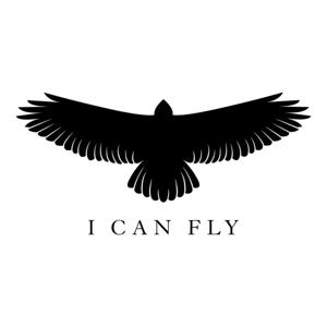 I Can Fly by I Can Fly Productions