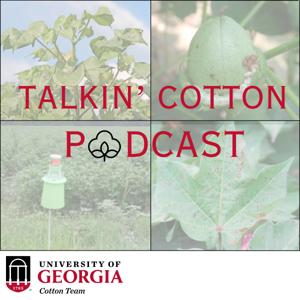 Talkin' Cotton Podcast by University of Georgia's Cotton Team