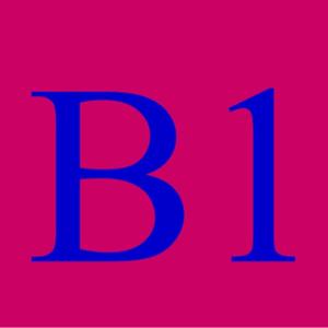 BeComingOne Church Cast