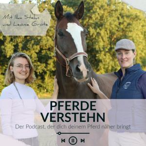 Pferde verSTEHN