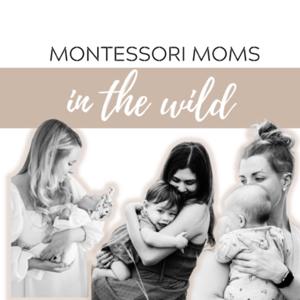 Montessori Moms in the Wild by Montessori Moms in the Wild