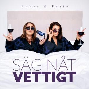 Säg Nåt Vettigt by Katia Mosally, Andra Farhad