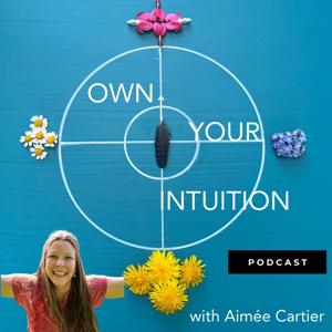 Own Your Intuition Show by Aimee Cartier