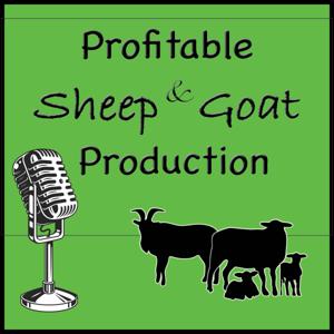 Profitable Sheep and Goat Production