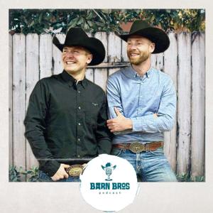 Barn Bros by Lars Nebel, Roman Borgolte