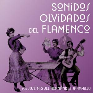 Sonidos Olvidados del Flamenco by José Miguel Hernández Jaramillo