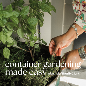 Container Gardening Made Easy