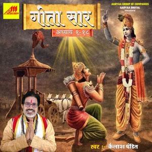 Geeta Saar (Hindi) by Podone