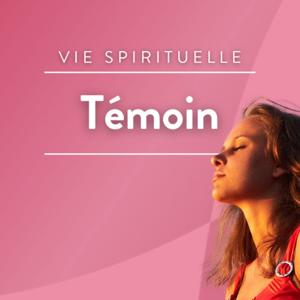 Témoin by Nathalie Cardon,Jean-Marie Portero,Thierry Lyonnet,Nicolas Dufour (54),Véronique Alzieu,Claire Le Parc,Yves Thibaut de Maisières,Étienne Pépin,Louis-Marie Lacroix,Marie Agoyer,Catherine Manné,Madeleine Vatel