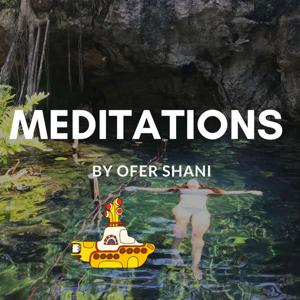 Meditations by Ofer Shani by Ofer Shani