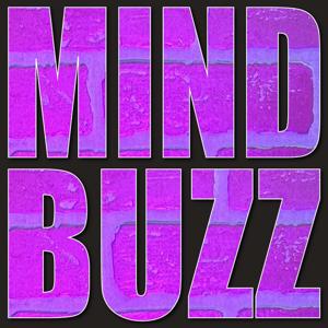 The Mindbuzz