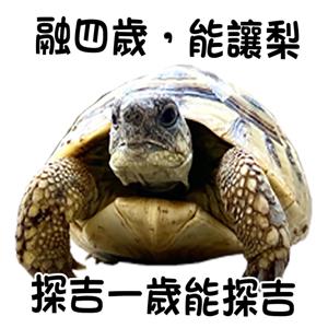 探吉百態