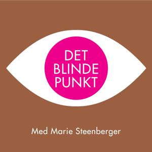 Det Blinde Punkt by Marie Steenberger