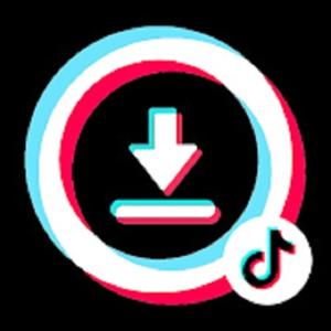 Tiktok Downloader 4x