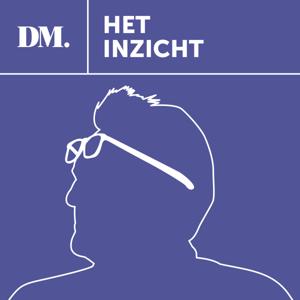 Het inzicht