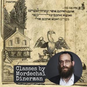 Classes by Mordechai Dinerman