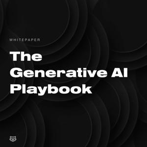 The Generative AI Playbook: The Podcast by Raccoons