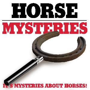 Horse Mysteries