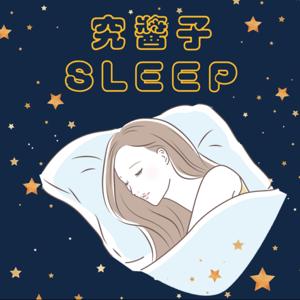 究醬子睡著了 Sleep Eventually