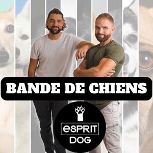 Bande de Chiens ! by Esprit Dog