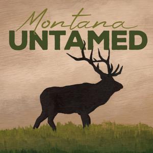 Montana Untamed by Montana Untamed