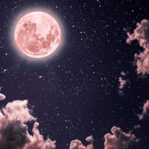 深夜默言情