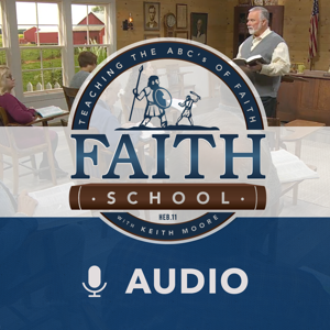 Faith School (Audio) by Keith Moore