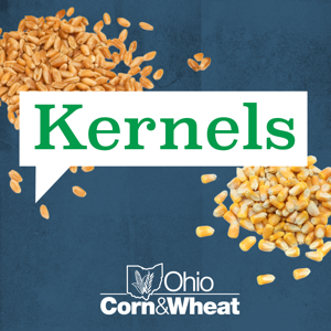 Kernels with Ohio Corn & Wheat by Ohio Corn & Wheat