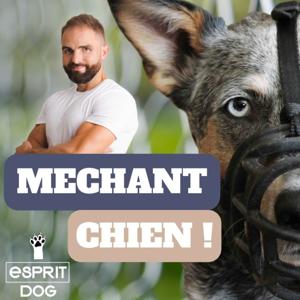 Méchant Chien by Esprit Dog